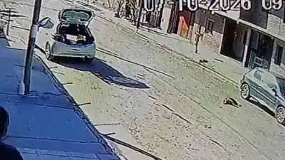 Descansaba en la calle y un auto lo atropelló: la patente que buscan los vecinos de Los Alisos