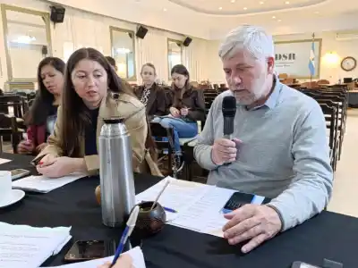 Santa Rosa: la reforma que cambiará la antigüedad de los taxis y la tenencia de licencias