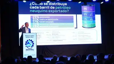 606 empresas pidieron 1.372 hectáreas para el Parque Industrial y Neuquén ya tomó una decisión