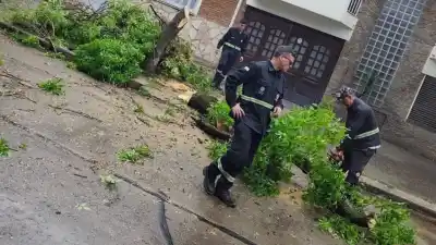 Rosario bajo el temporal: granizo, ráfagas y 93 llamados a Protección Civil