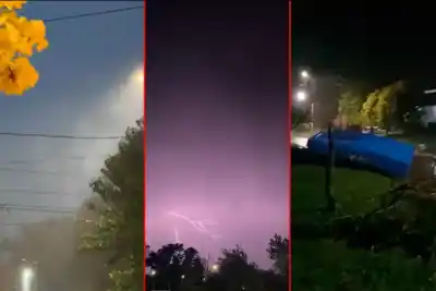 El cielo se puso negro en el sur entrerriano: árboles caídos, techos volados y motos en el piso