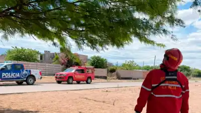 Aparecieron en un árbol de La Rioja y los bomberos tuvieron que intervenir: no era lo que esperaban