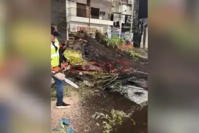 Paraná bajo alerta naranja: los 10 equipos que salieron a la calle y el frente que esperan de madrugada
