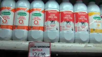 Los precios de los lácteos volvieron a subir: ¿Qué argumentan los industriales y qué dicen los comerciantes?