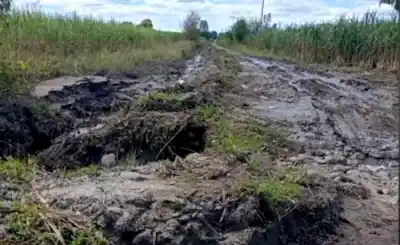 Caminos rurales colapsados y productores al borde del colapso: el drama que amenaza la zafra