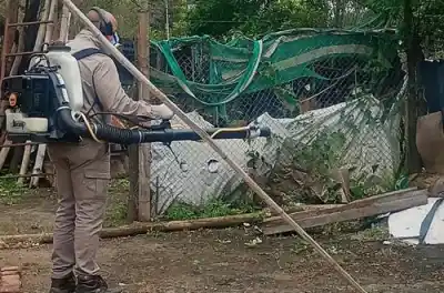 Equipos sanitarios despliegan operativos intensivos ante brote de enfermedad transmitida por mosquitos
