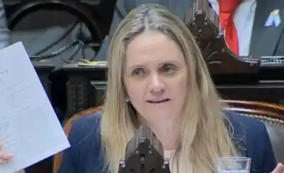 Diputada admite uso de pasajes oficiales para viajes de familiar y envía saludos a quien la fotografió