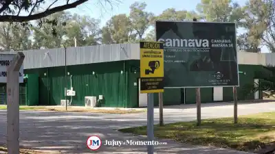 Cannava ya no es sociedad del Estado: la firma que controla el cannabis jujeño cambió de traje y crecen las sospechas