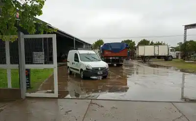 Entraron a una distribuidora de Pico, hicieron un corte y se llevaron una fortuna