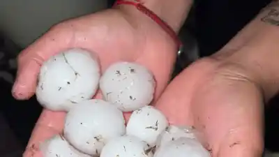 El granizo golpeó Taco Ralo: techos volados, autos dañados y animales muertos