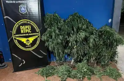 Allanaron una vivienda precaria en el barrio Los Militares: lo que encontraron en el patio terminó con un detenido