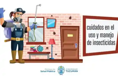 Revelan el tiempo exacto que debes esperar después de fumigar tu casa y lo que muchos ignoran