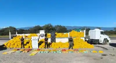 Revisaban un camión de fruta y el hallazgo cambió todo el operativo