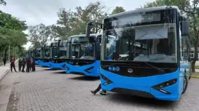 La ciudad estrena una flota de transporte que cambia las reglas del juego