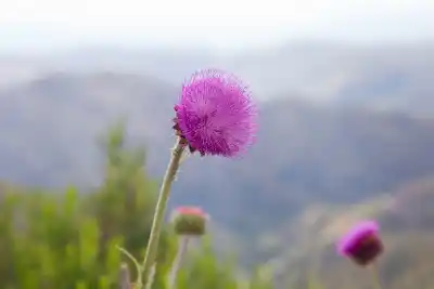 San Luis amaneció partida en dos: dónde se registró la marca más baja