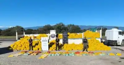 Un camión con limones ocultaba algo más: el hallazgo que cambió el destino del viaje