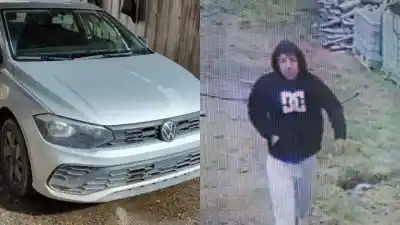 Cargaron todo en un auto y se fueron: el dueño estaba trabajando en el campo