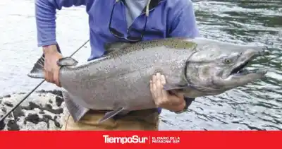 Piedrabuena se prepara para la fiesta del salmón: ya hay anotados y esperan un boom de pescadores