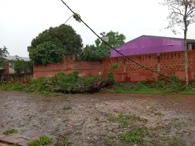 El temporal ya golpeó Misiones: techos volados, árboles caídos y una alerta que no da tregua