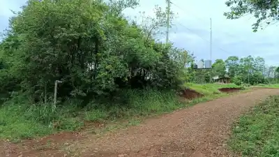 En Eldorado, 65 familias esperan una gota de agua que nunca llega: la promesa que la cooperativa no cumple