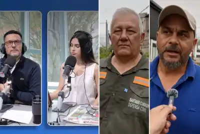 Un algarrobo de 50 años cayó sobre la calle y activó el operativo municipal en Santiago