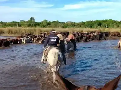 Así patrullan a caballo los campos de Formosa para frenar a los cuatreros