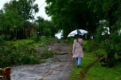 El temporal golpeó Garupá: árboles y postes en el piso, y la luz que no vuelve