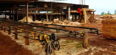 Misiones lanzó un régimen exprés para habilitar industrias: el trámite que antes tardaba meses hoy se resuelve en 10 días