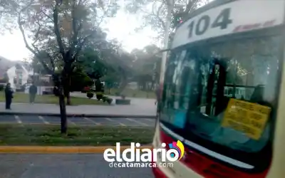 Ponchito y Feria del Libro: qué colectivos te dejan en la puerta del Predio Ferial