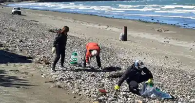 La cita en Caleta Córdova que combina avistaje, limpieza y ciencia ciudadana