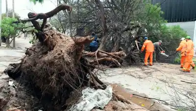 La tormenta dejó 57 kilómetros de desagües bajo la lupa: el operativo que no frena en la ciudad