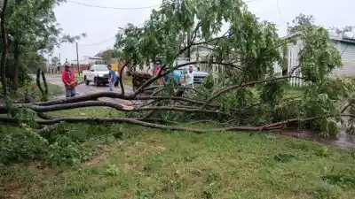 El temporal golpeó Posadas: cuadrillas en la calle y un número clave para los vecinos