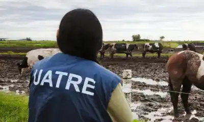 El reclamo de UATRE que incomoda a los campos de Chubut: "El trabajador no puede ser el primer costo a recortar"