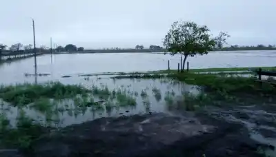 El campo salteño se prepara para sembrar, pero nadie sabe qué hará "El Niño": la advertencia de un referente