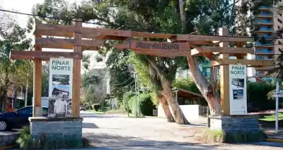 Villa Gesell recupera los pinares donde nació su historia: qué dice la ley que aprobó el Senado