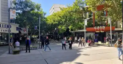 El paro de colectivos vació los comercios: los clientes no pudieron llegar y las ventas cayeron en picada