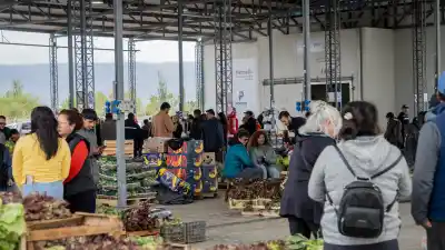 Pocito abrió su feria de frutas y verduras: cuánto sale comprar sin intermediarios