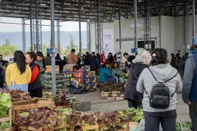 Pocito ya tiene su Feria Frutihortícola: por qué el intendente la compara con el Parque Industrial