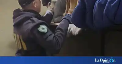 Perros antinarcóticos entraron a la cárcel de El Calafate y olfatearon hasta los talleres