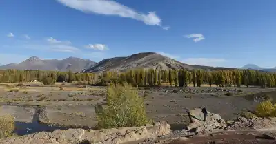 El cerro neuquino que nació con una promesa: 800 km de fe y una imagen que llegó en 1954