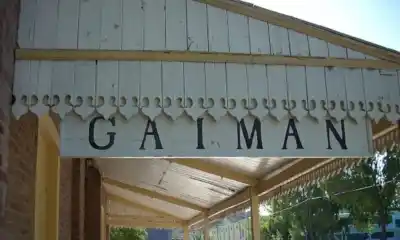 El petrel gigante del sur llega a Gaiman: la muestra que une arte y ciencia por el Día del Patrimonio