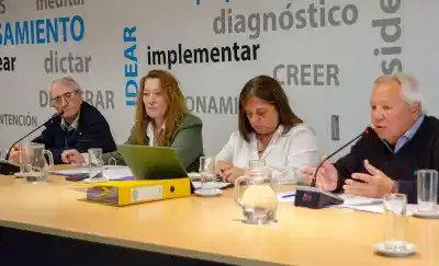 La Legislatura pampeana destrabó la adhesión a la Ley Nicolás: quiénes empujaron el aval