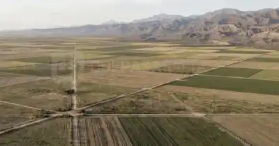 Salta tiene el porcentaje más alto del país de campos en manos extranjeras: dos departamentos superan el 59%