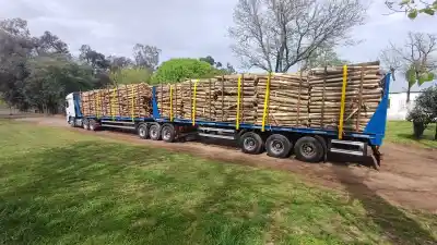 Los bitrenes de 75 toneladas ya ruedan por la Ruta 94: el cambio que llega desde Teodelina
