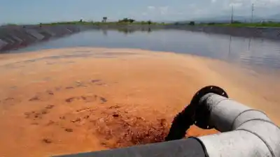 Tucumán: el residuo agrícola que convierte efluentes salados en agua potable