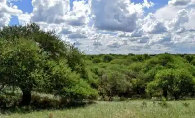 Ziliotto quiere ponerle un freno histórico a la venta de tierras a extranjeros en La Pampa