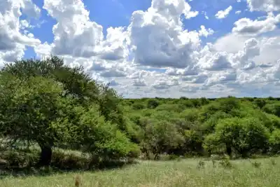 Ziliotto quiere blindar ríos y acuíferos: los extranjeros no podrán comprar esas tierras