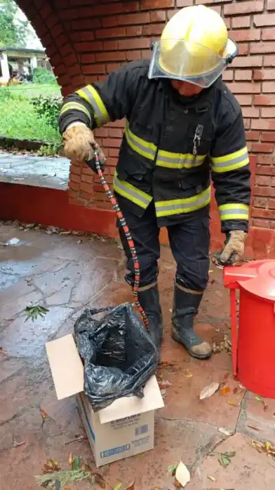 Creyó que tenía un problema de lluvia, pero lo que encontró adentro lo dejó paralizado