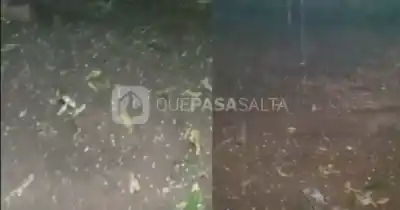 Cayó granizo en el norte de Salta y ahora miran al cielo en la Capital: qué dice el pronóstico