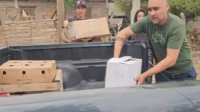 Rescataron a más de 20 gallos en Valle Viejo: dónde terminaron los animales